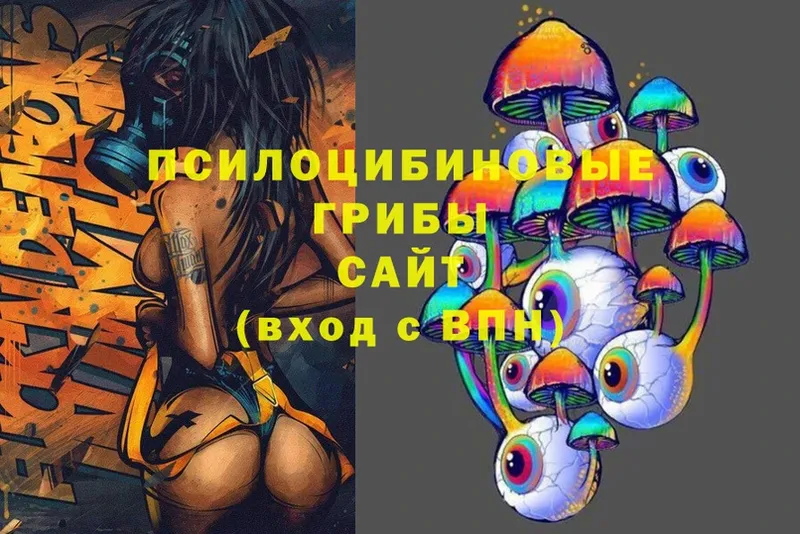 мориарти наркотические препараты  Емва  Псилоцибиновые грибы Cubensis 